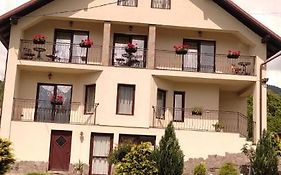 Vila Puiu Borsa Mm